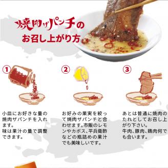 塩だれの素 焼肉ザパンチ 6個