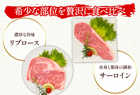 みやざきハーブ牛ステーキ食べ比べセット（サーロインステーキ・リブロースステーキ×各200g）