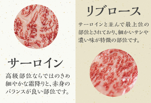 宮崎牛ステーキ食べ比べセット　合計400g（サーロインステーキ・リブロースステーキ×各200g） |牛肉 牛 肉 サーロインステーキ リブロースステーキ