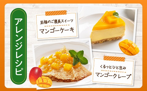 【2026年発送先行予約】《数量・期間限定》完熟！宮崎マンゴー 特秀 大玉3Lサイズ 2玉化粧箱入り マンゴー 宮崎 完熟マンゴー