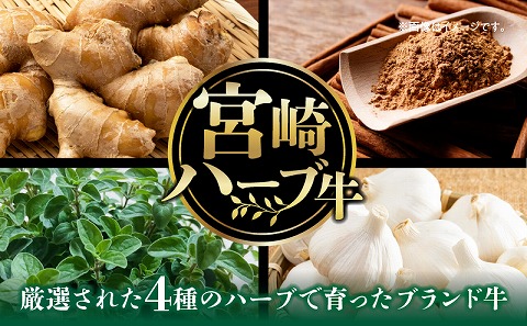 宮崎ハーブ牛サーロインステーキ 合計600g