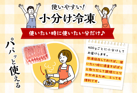 宮崎県産 豚ローススライス (400g×5パック) 合計2kg