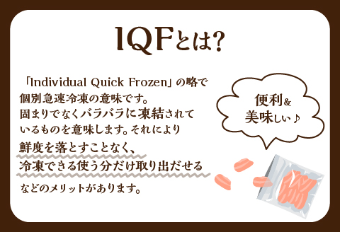 宮崎県産 若鶏モモ切身 IQF冷凍 250g×12袋 計3kg