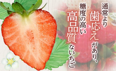 《2026年発送》【数量・期間限定】【贈答用】宮崎市産いちご みつひめ 2パック いちご 苺 イチゴ 果物 フルーツ プレゼント ギフト