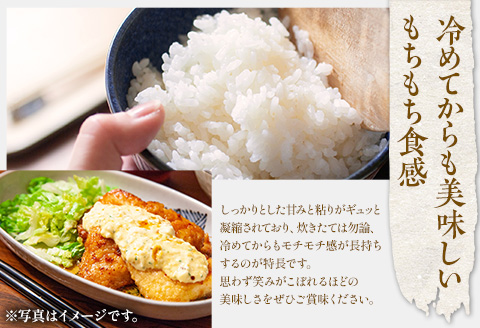 期間・数量限定 令和5年産 宮崎県産米 夏の笑み 5kg×2 合計10kg