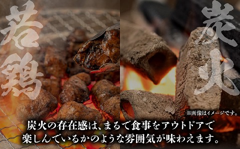 炭香る宮崎県産若鶏炭火焼スープカレー 計1.9kg