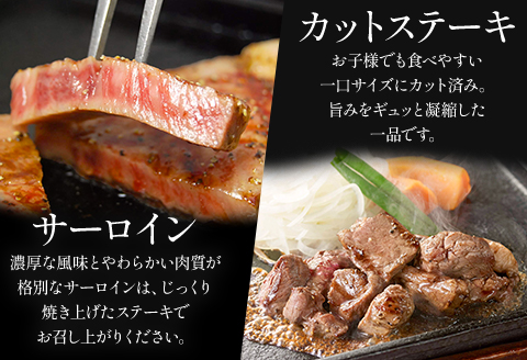 宮崎牛 サーロイン ステーキ カットステーキ セット 計750g 平家の郷 詰め合わせセットA
