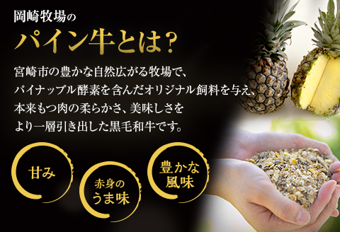 宮崎県産 黒毛和牛 パイン牛 メンチカツ 12個