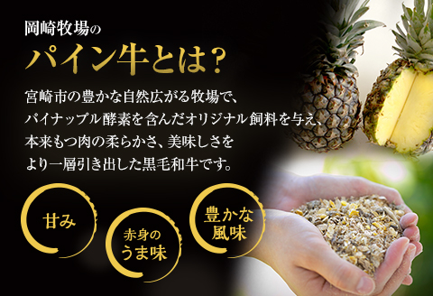 宮崎県産 黒毛和牛 パイン牛 赤身 切り落とし (モモウデ) 250g×4袋 合計1kg