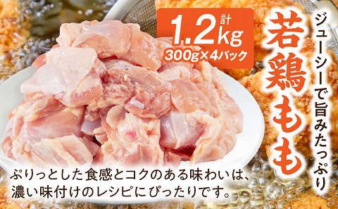 宮崎県産若鶏もも・むね切り身 小分けパック 合計4.2kg