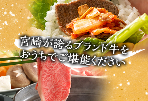 宮崎牛カルビ焼肉・モモスライスセット 計800g 肉 牛 牛肉