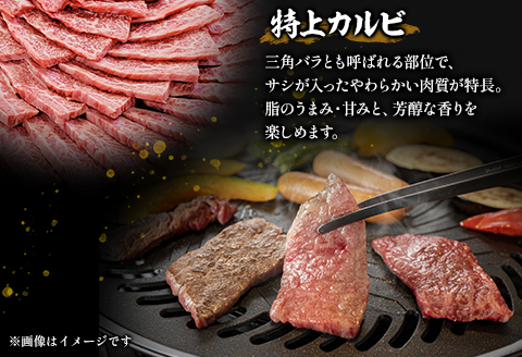 宮崎牛特上カルビ焼肉用(三角バラ)合計600g 肉 牛 牛肉