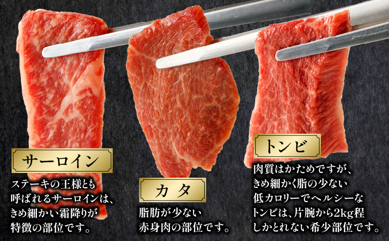 宮崎牛 焼肉食べ比べ6種盛 600g 焼き肉 バーベキュー 霜降り