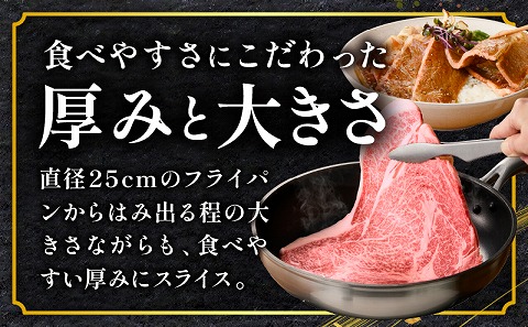 宮崎牛 サーロインステーキ 4枚 合計800g 肉 牛肉 宮崎牛 サーロイン ステーキ カツレツ