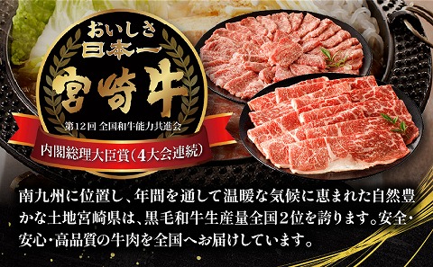 宮崎牛 バラエティー定期便 全4回 カルビ焼肉 切り落とし ミンチ