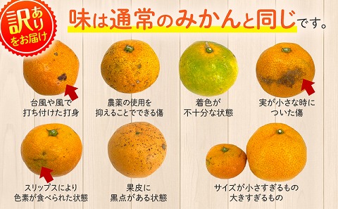 《2025年発送先行予約》【期間・数量限定】《訳あり》温州みかん8kg(傷み補償分200g付き) ミカン 果物 柑橘