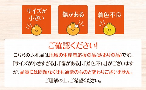 訳あり不知火6kg