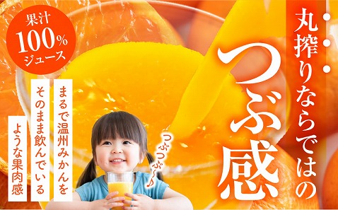 宮崎県産 まる搾りみかんジュース ギフトボックスC 220ml×8本 みかん 温州みかん みかんジュース まる搾り β-クリプトキサンチン 機能性表示食品 ギフトボックス 果肉感 つぶつぶ 化粧箱入