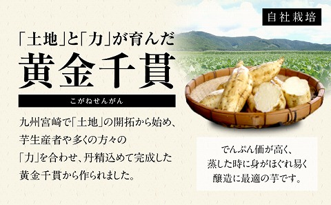 地力（じりき）