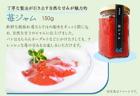 【農福連携】宮崎県産 波乗り苺のギフトセット 3種