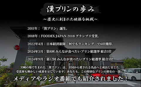 九州男児 漢プリン 6個入り