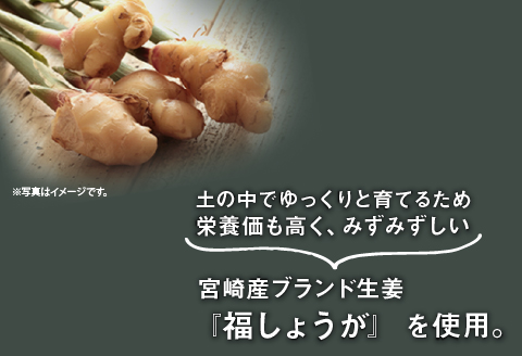 宮崎産ブランド生姜のみを使用 『HOLIC MAKERS』 クラフトジンジャーシロップ 300ml×2本