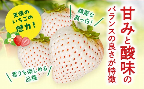 《2026年発送先行予約》【数量・期間限定】宮崎県産 幸せの紅白いちごセット(おおきみ&天使のいちご)1パック イチゴ 果物 フルーツ
