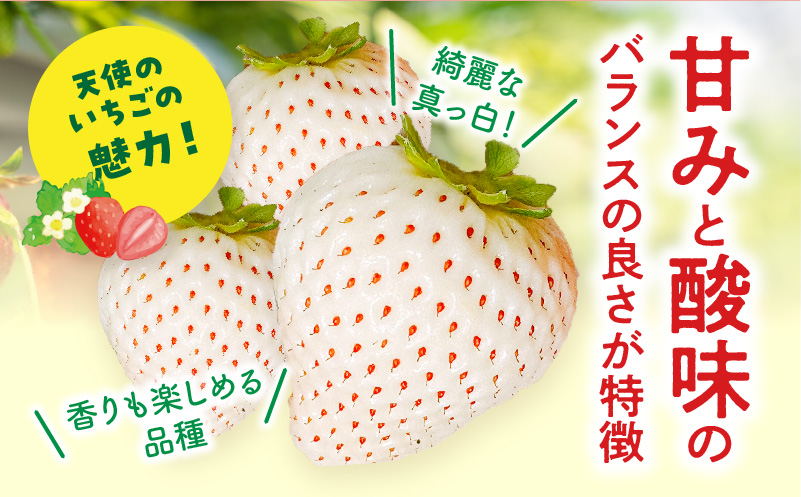 《2026年発送》【数量・期間限定】宮崎県産 幸せの紅白いちごセット(おおきみ&天使のいちご)2パック イチゴ 苺 果物 期間・数量限定