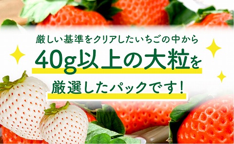 《2026年発送先行予約》【数量・期間限定】宮崎県産 幸せの紅白いちごセット(おおきみ&天使のいちご)大サイズ1パック イチゴ 果物 フルーツ