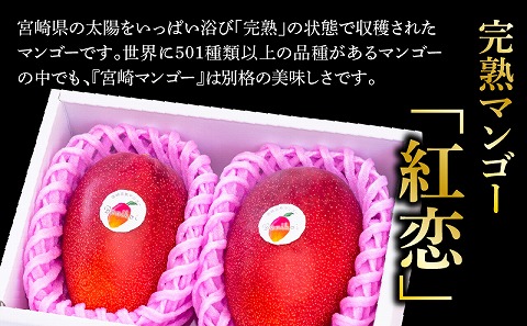 マンゴーの木オーナー制度【スタンダード】