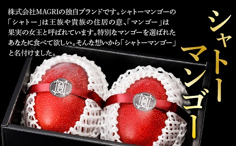 シャトーマンゴー／マンゴーの木オーナー制度【プレミアム】