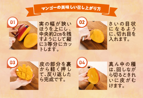 《2024年発送》樹上完熟マンゴー2L×2玉