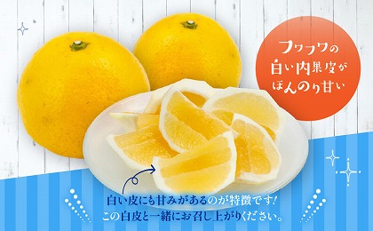 日向夏　お試しセット3kg