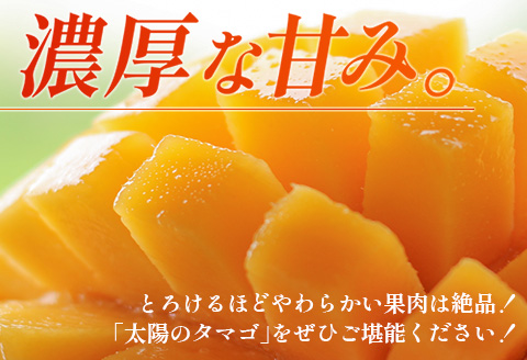 《2026年発送先行予約》【数量・期間限定】宮崎特産品 宮崎県産完熟マンゴー 太陽のタマゴ 2L×2玉 マンゴー 太陽のタマゴ 完熟マンゴー