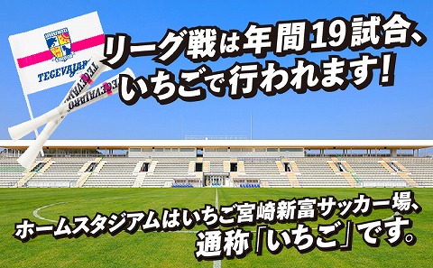 テゲバジャーロ宮崎　応援グッズ3点セット