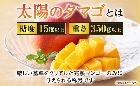 《2026年発送先行予約》【数量・期間限定】宮崎特産品 宮崎県産完熟マンゴー 太陽のタマゴ 3L×2玉 マンゴー 完熟 フルーツ 宮崎マンゴー 果物