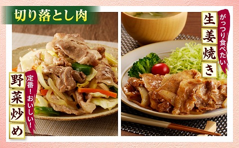 宮崎県産豚肉 切り落とし＆ミンチセット5.5kg 国産 小分け スライス 豚ミンチ