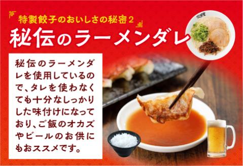 悠瑠里特製餃子60個&鶏餃子60個 食べ比べセット