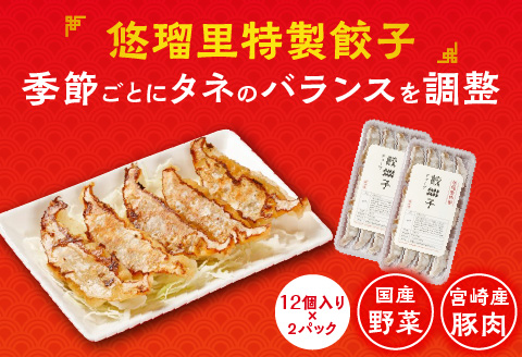 悠瑠里しょうゆら～めん4食セット×悠瑠里特製餃子2P×鶏餃子2P