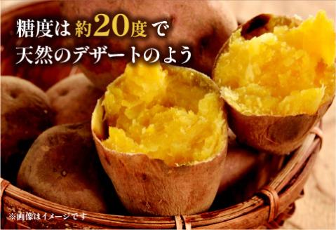 安納石焼芋　10袋セット