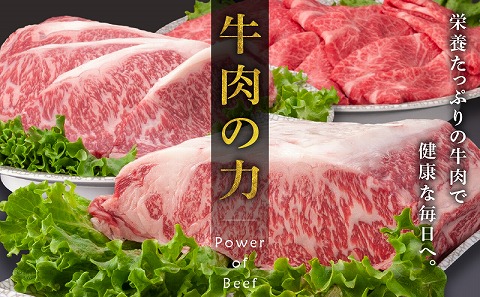 宮崎牛ロースブロック1ｋｇ
