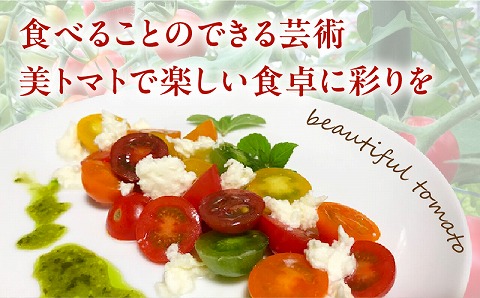 美トマト（5色）1kg