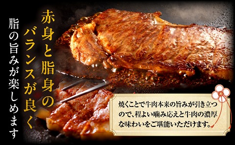 宮崎牛ロースステーキ400g