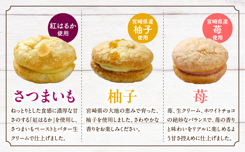 Dolce-Do ドルチェード 6種セット 焼き菓子 お菓子 四季