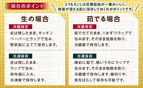《2026年発送先行予約》【数量・期間限定】宮崎市産朝どれスイートコーン（ゴールドラッシュ）約8kg とうもろこし トウモロコシ スイートコーン  