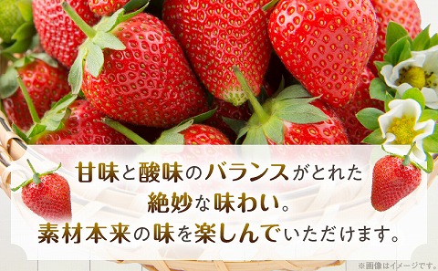 《2026年発送先行予約》【数量・期間限定】宮崎県産イチゴ 250g×4パック 果物 苺 フルーツ
