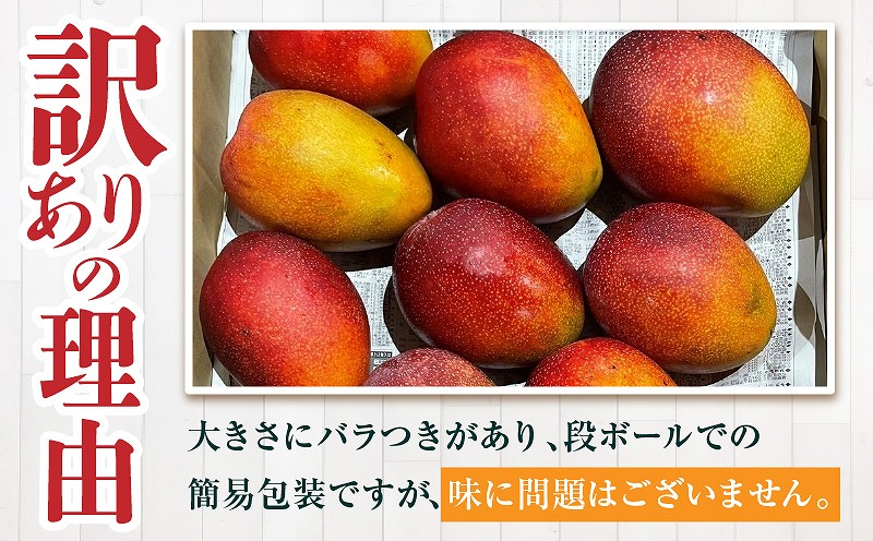 《2026年発送先行予約》【数量・期間限定】宮崎県産 訳あり完熟マンゴー 1.2kg 訳あり 完熟マンゴー 果物