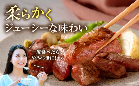 宮崎牛サイコロステーキ