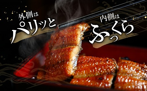 宮崎県宮崎市産　うなぎの蒲焼　約800g（約160g×5尾）タレ・山椒セット