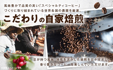 レイドバック珈琲の自家焙煎スペシャルティコーヒーシングルオリジン150ｇ×３種セット（中挽きの粉）_M326-002_02